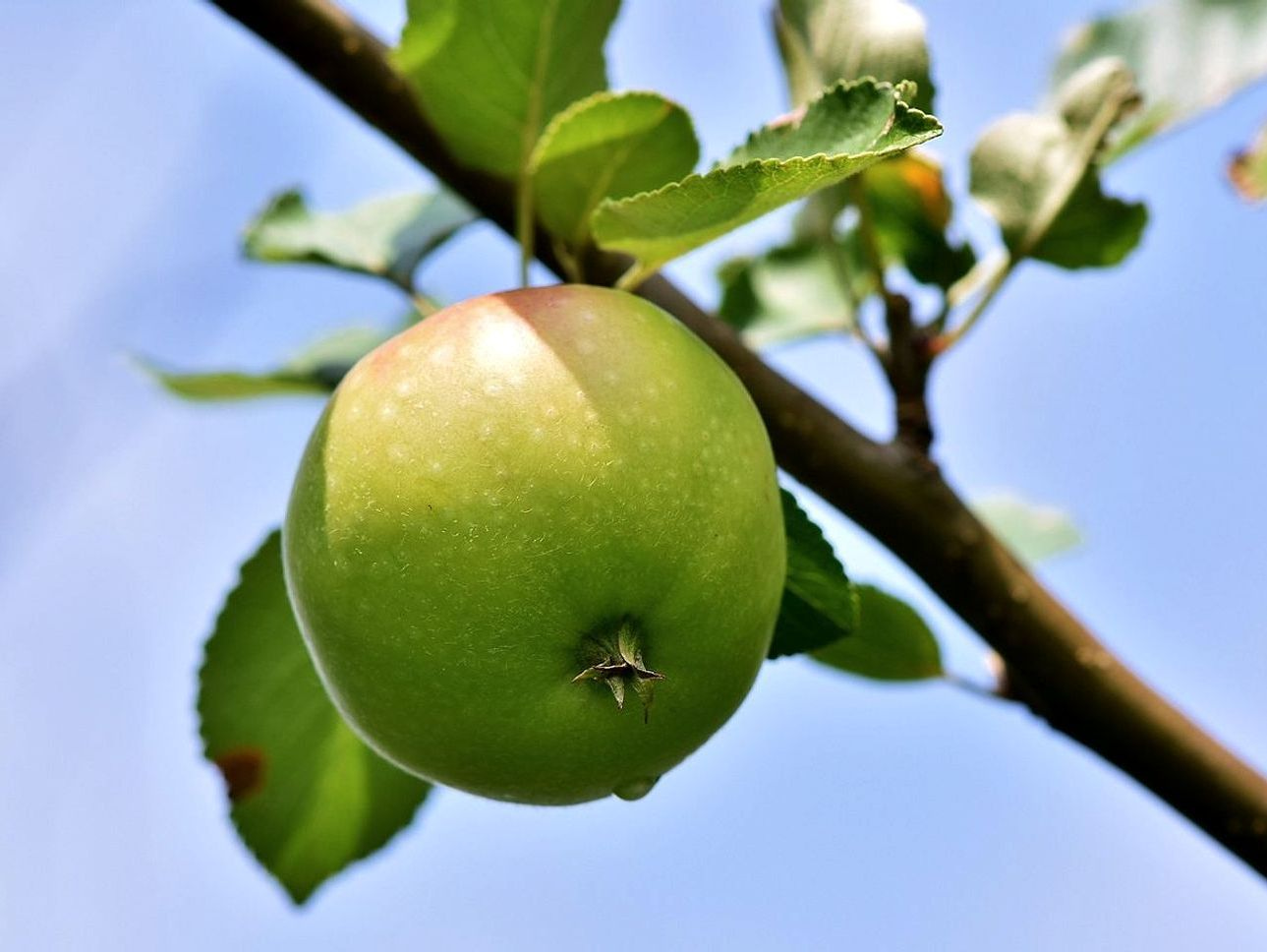 Vitaminas en cada sorbo